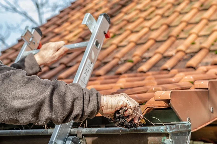 Why Seasonal Gutter Cleaning Is Essential For Homeowners Avenel, NJ Why Seasonal Gutter Cleaning Is Essential For Homeowners Avenel, NJ