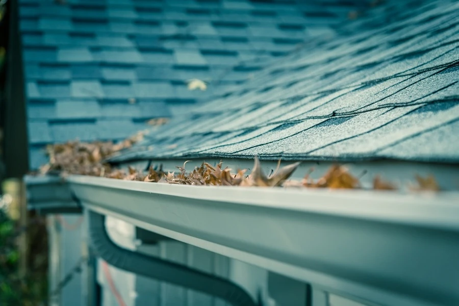 Why Seasonal Gutter Cleaning Is Essential For Homeowners in Avenel, NJ Why Seasonal Gutter Cleaning Is Essential For Homeowners in Avenel, NJ